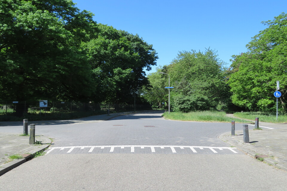Kruispunt samenwerken lente zomer Kruising samenwerken